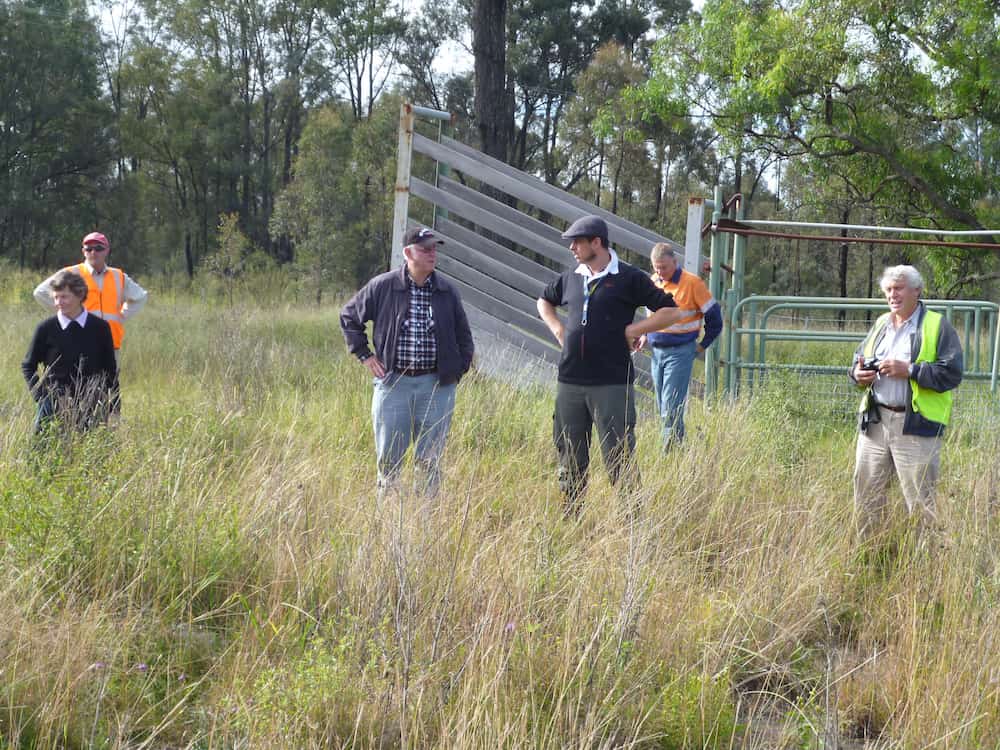 People standing in long grass in front of an old wooden stock loading frame. 
